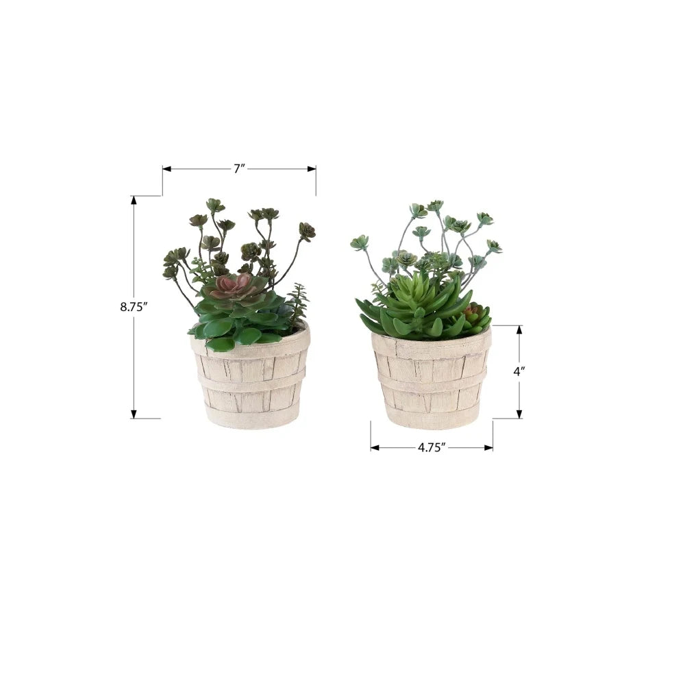 Artificial Succulent Bonsai Plants Set For Indoor Home Decor