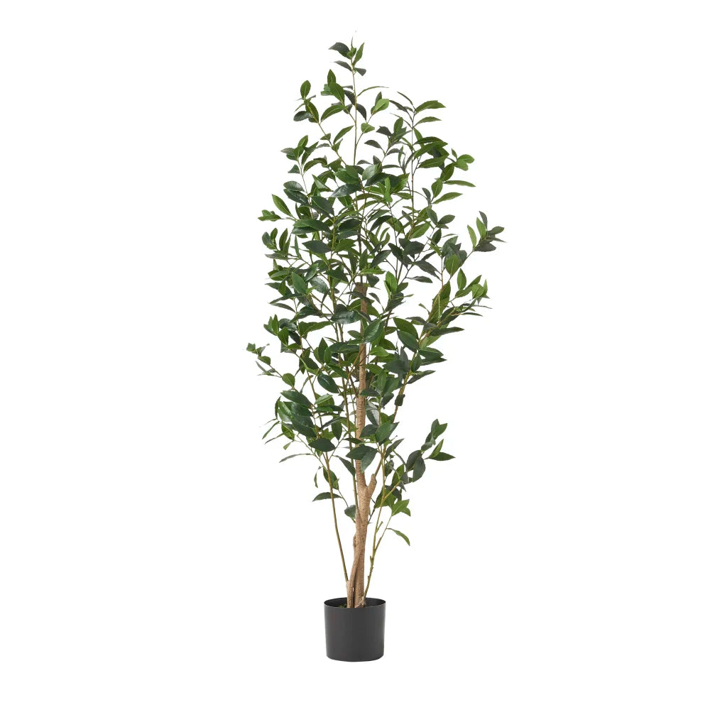 Lifelike Artificial Laurel Tree Faux Greenery For Home Decoration
