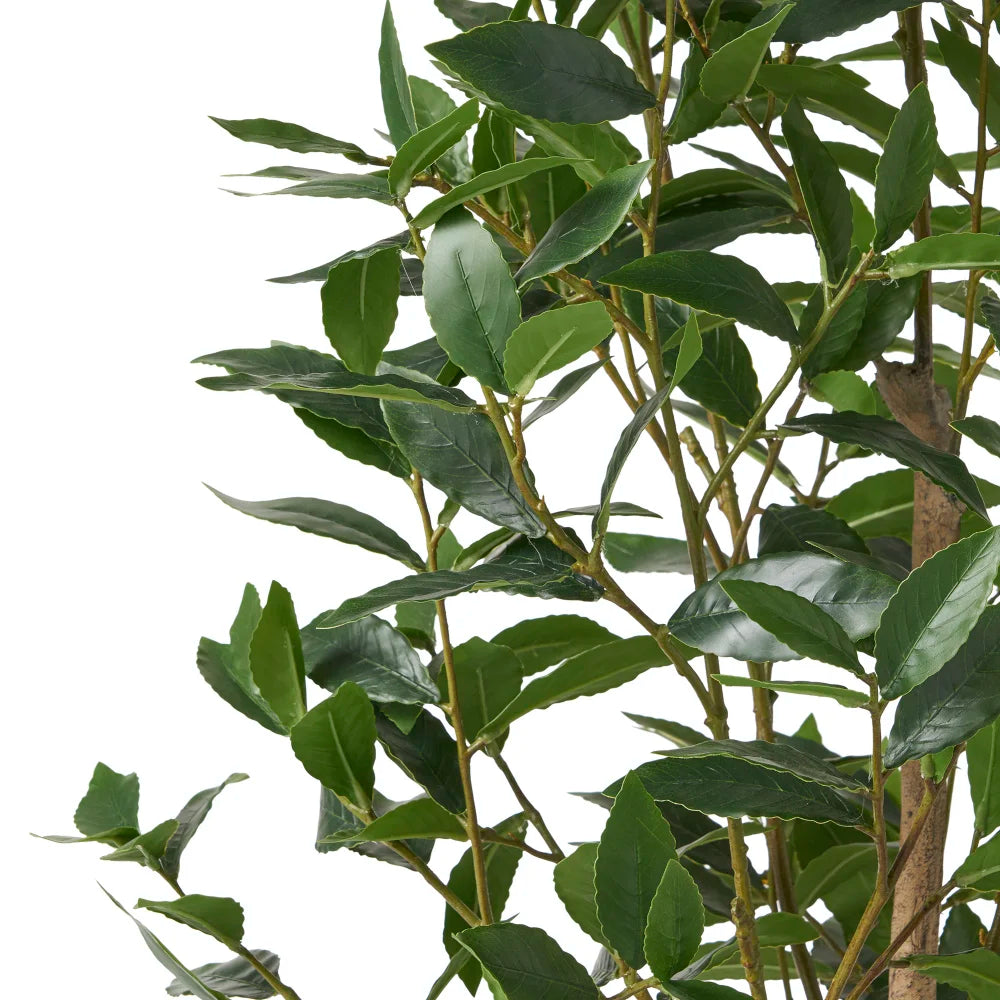 Lifelike Artificial Laurel Tree Faux Greenery For Home Decoration