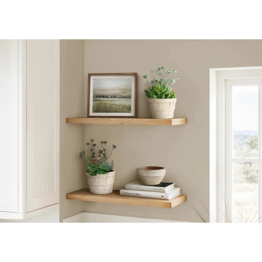 Artificial Succulent Bonsai Plants Set For Indoor Home Decor