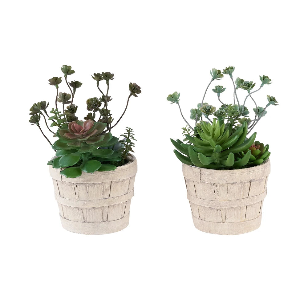Artificial Succulent Bonsai Plants Set For Indoor Home Decor