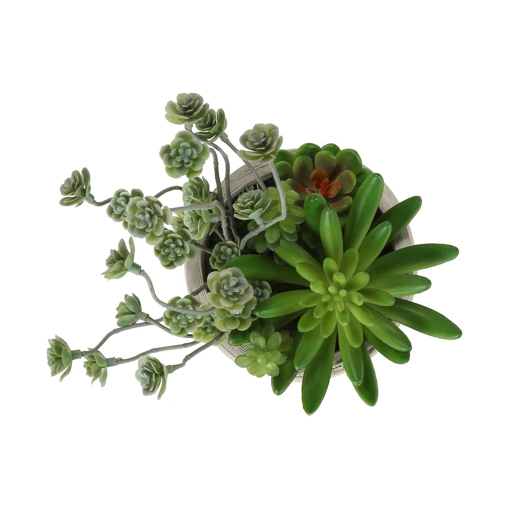 Artificial Succulent Bonsai Plants Set For Indoor Home Decor