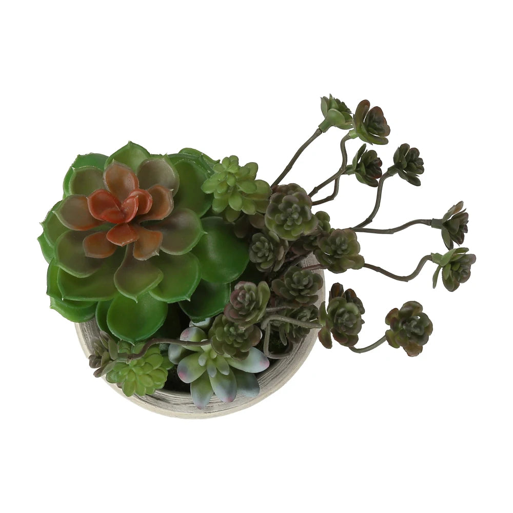 Artificial Succulent Bonsai Plants Set For Indoor Home Decor